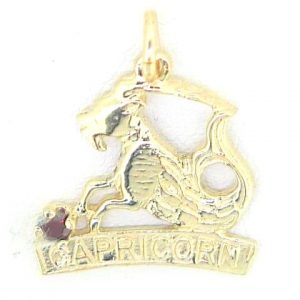 Zodiac with Sim. Birthstone/Capricorn 10KT  *CLEARANCE-FINAL SALE*