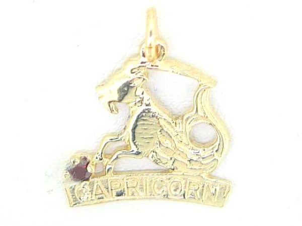 Zodiac with Sim. Birthstone/Capricorn 10KT  *CLEARANCE-FINAL SALE*